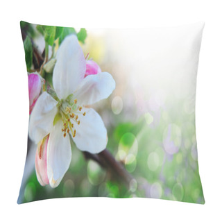 Personality  Spring Border Or Background With Pink Blossom Pillow Covers