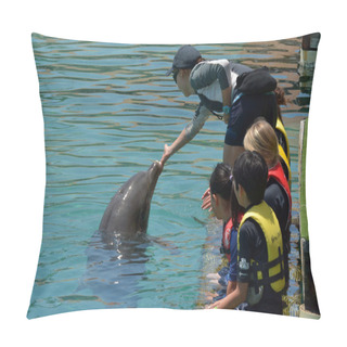 Personality  People Interact With Dolphin Pillow Covers