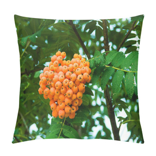 Personality  Mountain Ash Berries On A Branch Pillow Covers