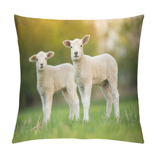 Personality  Cute Little Lambs On Fresh Green Meadow Pillow Covers