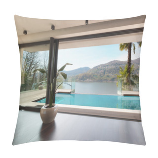 Personality  Interiors, House With Pool Pillow Covers