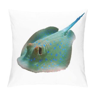Personality  Bluespotted Stingray Pillow Covers
