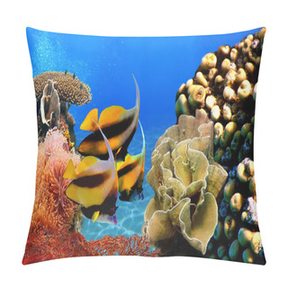 Personality Photo Of A Coral Colony And Bannerfish Pillow Covers