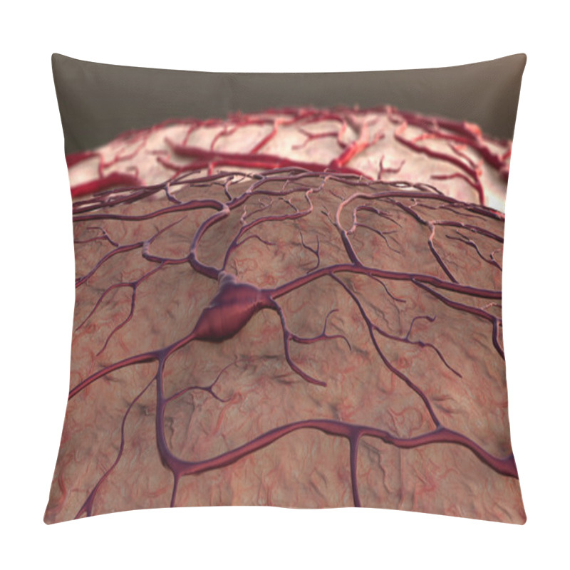 Personality  Insult, Brain Model Pillow Covers