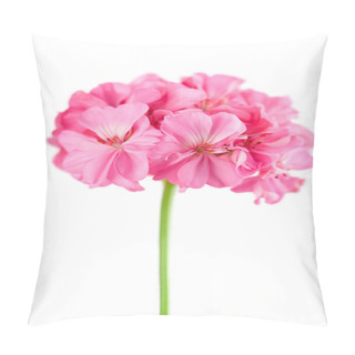 Personality  Pink Geranium Flower Isolated Pillow Covers