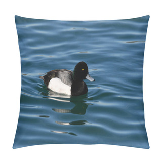 Personality  Male Greater Scaup Duck Drake On Lake Pillow Covers