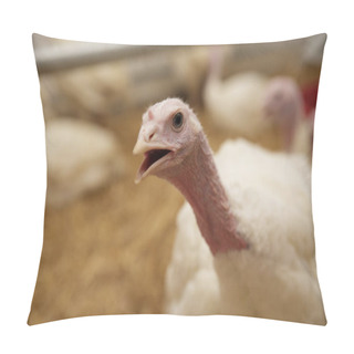 Personality  Turkey On A Farm , Breeding Turkey Pillow Covers