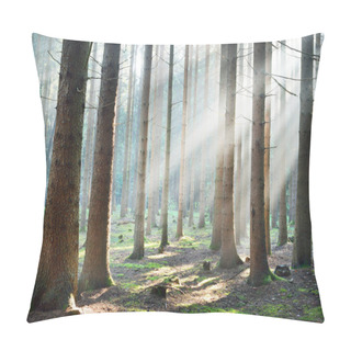 Personality  Sun Rays In A Fog In A Misty Forest Pillow Covers