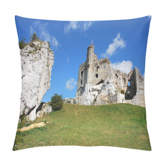 Personality  Ruins Of The Castle In Mirow Pillow Covers