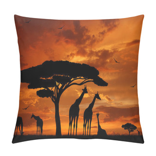 Personality  Herd Of Giraffes Pillow Covers