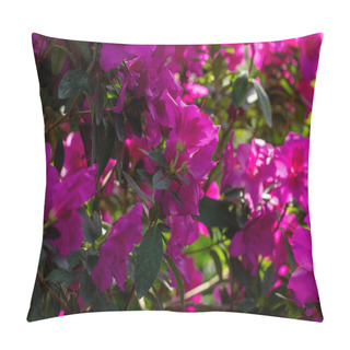 Personality  Springs Vibrant Embrace: Pink Azalea Blooms In Full Glory Pillow Covers