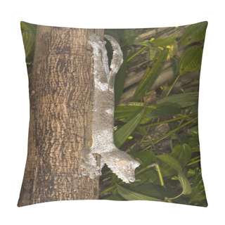 Personality  Leaf-tailed Gecko (Uroplatus Fimbriatus), Madagascar, Africa Pillow Covers