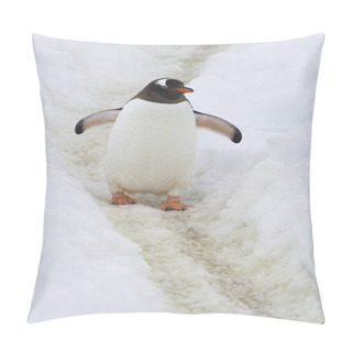 Personality  Gentoo Penguin Who Stands On The Trail Trampled In The Snow By Penguins Pillow Covers