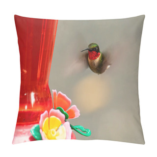 Personality  Male Ruby Throated Hummingbird Hovers Near A Nectar Feeder. Pillow Covers