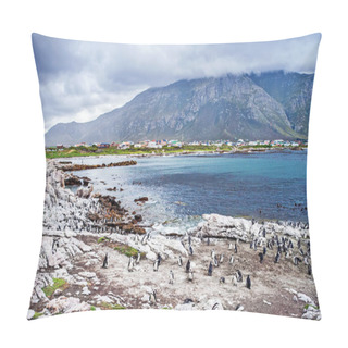 Personality  Wild South African Penguins Pillow Covers