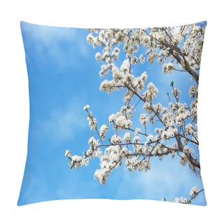 Personality  Blooming Cherry In Springtime Pillow Covers