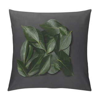 Personality  Top View Of Green Fresh Leaves On Black Background Pillow Covers