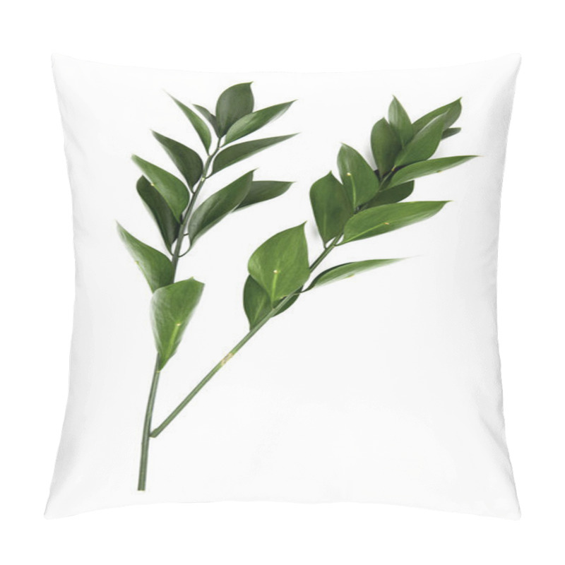 Personality  Twigs With Green Leaves Isolated On White Pillow Covers