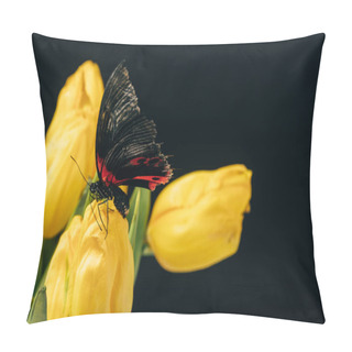 Personality  Close Up View Of Beautiful Butterfly With Yellow Tulips Isolated On Black Pillow Covers