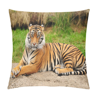 Personality  Majestic Bengal Tiger Pillow Covers