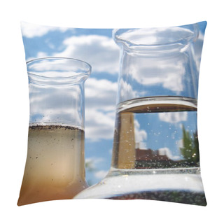Personality  Carafe Of Clean And Dirty Water Pillow Covers