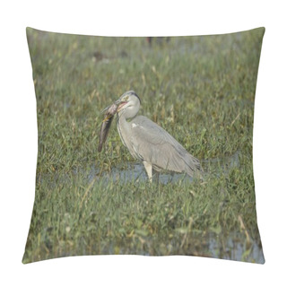 Personality  Grey Heron Feeding At Wild Nature Pillow Covers