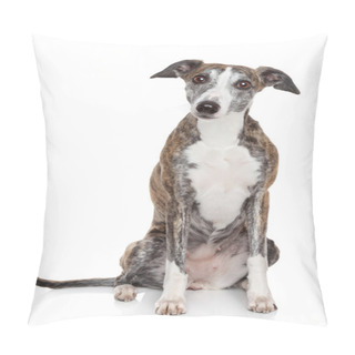 Personality  Portrait Of Whippet On A White Background Pillow Covers