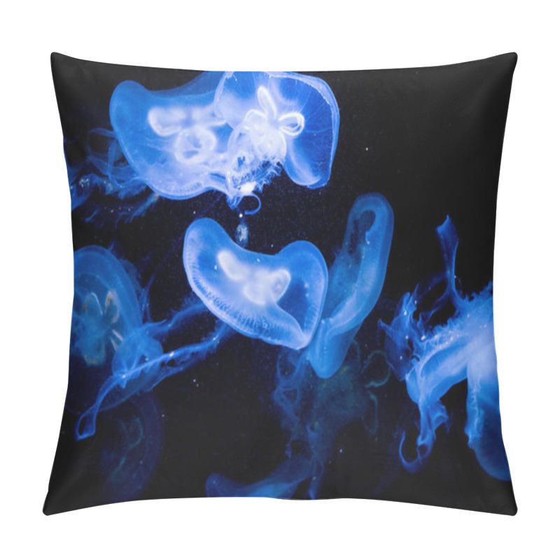 Personality  Jellyfish in impressive display of bioluminescence pillow covers
