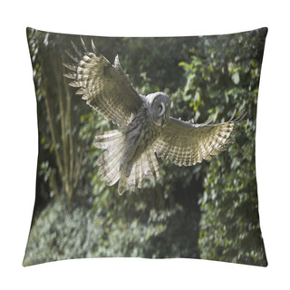 Personality  Great Grey Owl, Strix Nebulosa, Adult In Flight   Pillow Covers