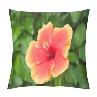 Personality  Beautiful Red Yellow Malvacea Hibiscusr Flower Pillow Covers