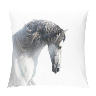 Personality  White Andalusian Horse Portrait On White Background. High Key Image Pillow Covers