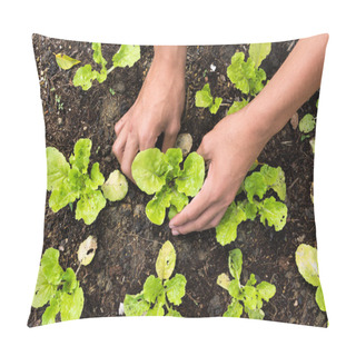 Personality  Planting Vegetable Garden Pillow Covers