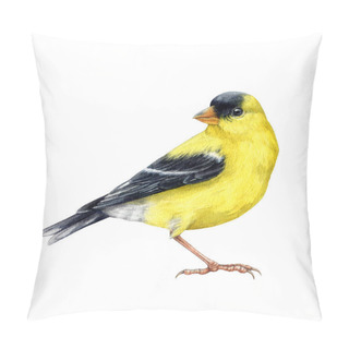 Personality  Goldfinch Bird Watercolor Illustration. Spinus Tristis Realistic Detailed Image. Hand Drawn North American Native Yellow Bird. Goldfinch Wildlife Forest Avian Isolated On White Background. Pillow Covers