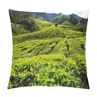 Personality  Tea Platation In The Cameron Highlands Pillow Covers