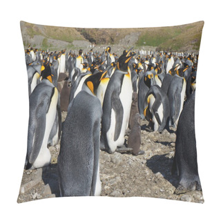 Personality  King Penguin Pillow Covers