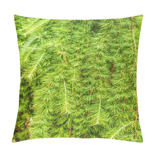 Personality  Larch Pillow Covers