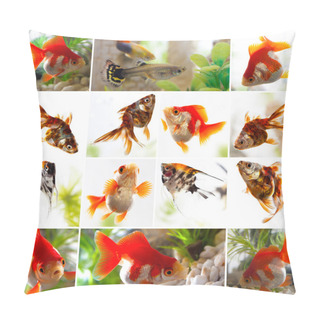 Personality  Set Of Goldfish In The Aquarium Pillow Covers
