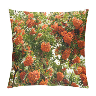 Personality  Rowan Tree Pillow Covers