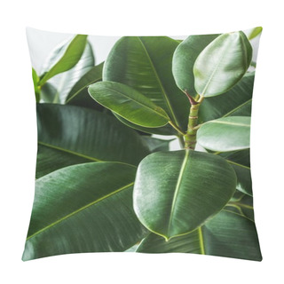 Personality  Plant  Pillow Covers