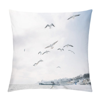 Personality  Seagulls Pillow Covers
