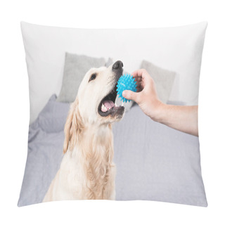 Personality  Dog Playing With Ball Pillow Covers
