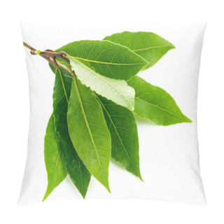 Personality  Branch Green Laurel Leaf Pillow Covers