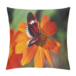 Personality Butterfly On Flower Pillow Covers