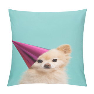 Personality  Dog With Birthdau Hat At Blue Background Pillow Covers