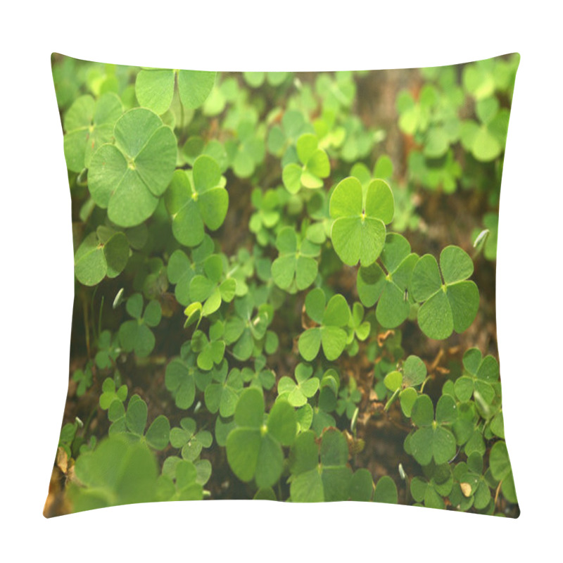 Personality  4 Leaf-Clover Forest pillow covers