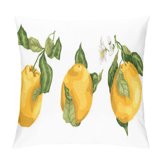 Personality  Set Of Orange Citrus Fruits With Flowers And Buds On The Branche Pillow Covers