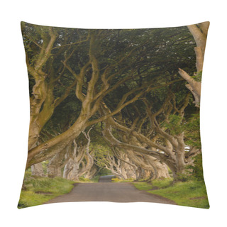 Personality  A Vertical Low-kwy Panorama Of The Iconic The Dark Hedges In Northern Ireland Pillow Covers