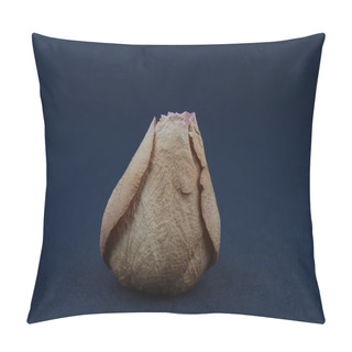 Personality  Withered Rose Pillow Covers