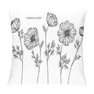 Personality Cosmos Flowers Drawing And Sketch With Line-art On White Backgrounds. Pillow Covers