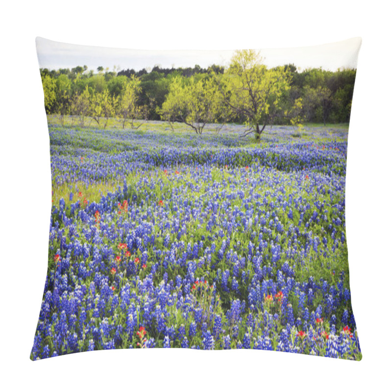 Personality  Bluebonnets in Texas Hill Country pillow covers